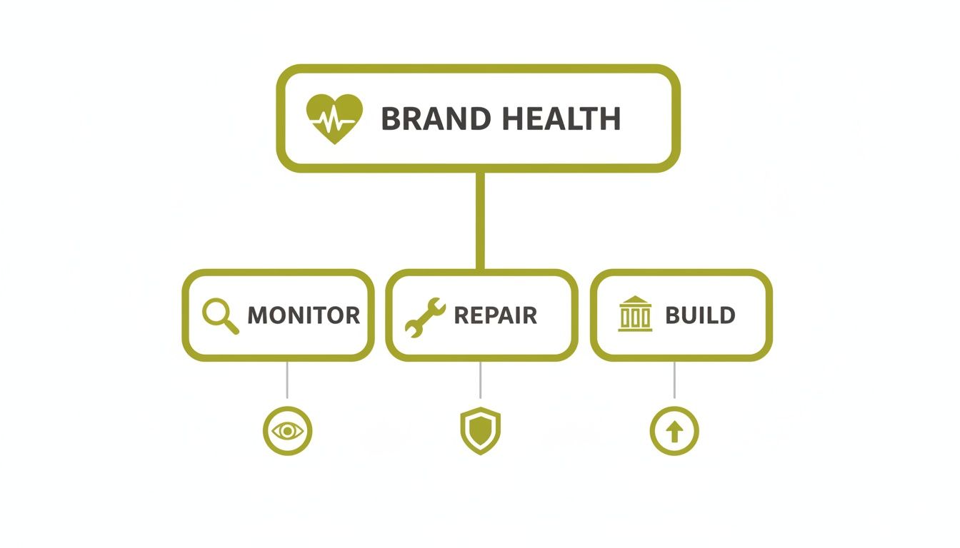 A brand health management diagram showing monitor, repair, and build strategies with respective icons.