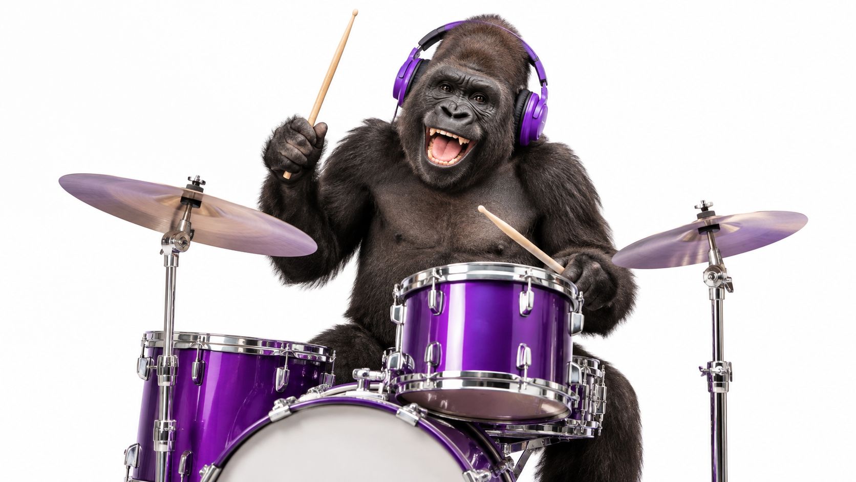 A happy gorilla wearing purple headphones sitting behind a drum kit and playing the drums.
