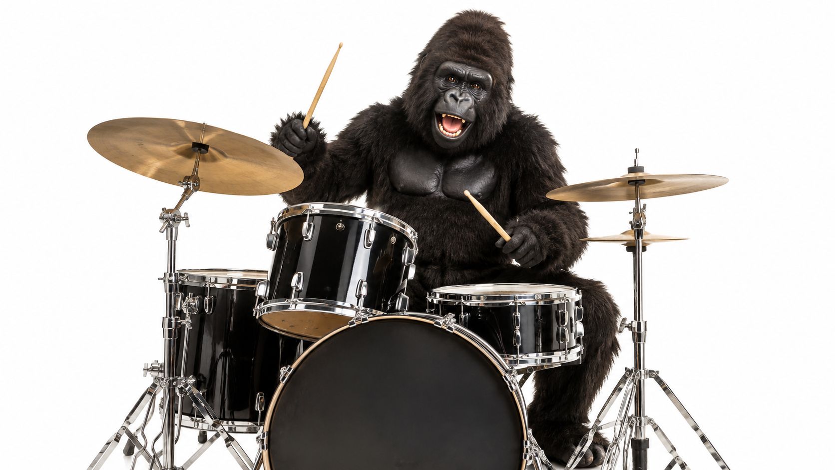 A gorilla in a black fur costume playing a drum set against a solid white background.